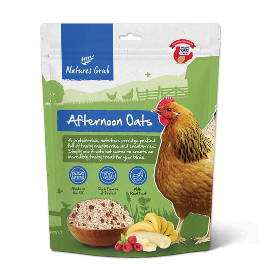 Natures Grub Afternoon Oats - Banana & Berry - 600g