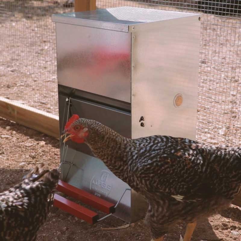 Copele Galvanised Safeed Automatic Poultry Feeder 6kg