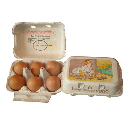 ETON Egg Box Free Range White - Pack of 20