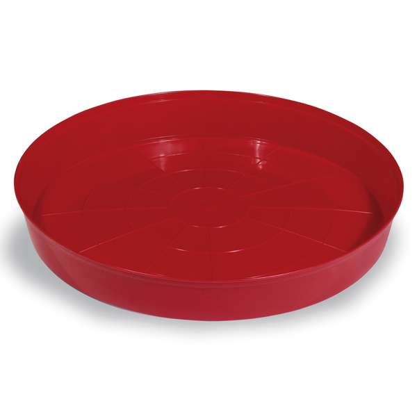 Gaun Chick Tray Feeder